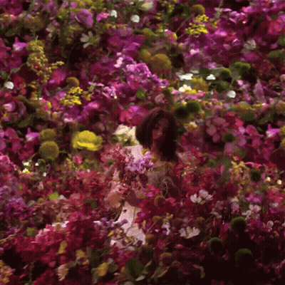 Woman In White Dress In Pink Flower Field GIF