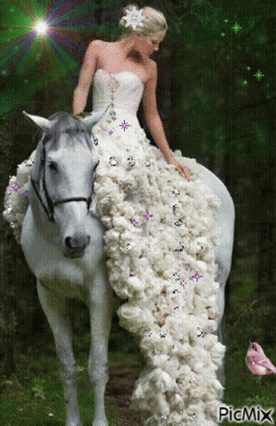 Woman In White Dress Riding White Horse GIF