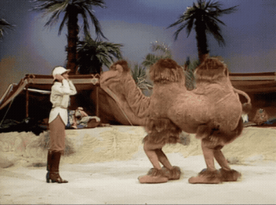 Woman In White Hat Next To Camel In Desert GIF