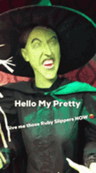 Woman In Wicked Witch Of The West Costume GIF