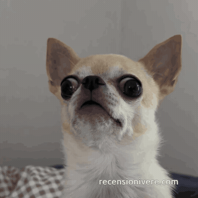 Woman In Wig Talking Into Microphone GIF