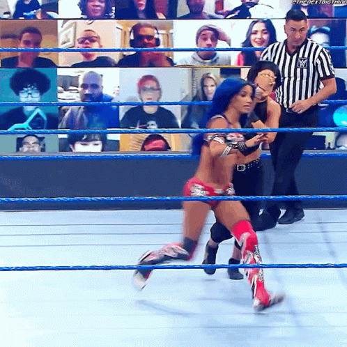 Woman In Wrestling Ring With Referee And Screen Saying The Next Time GIF