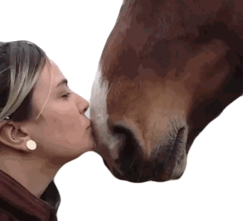 Woman Kissing Brown Horse's Nose Sticker