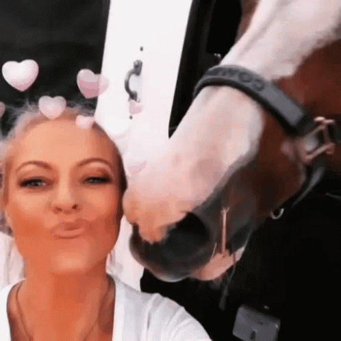 Woman Kissing Horse's Nose With Hearts GIF