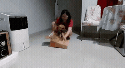 Woman Kneeling With Dog In Bag GIF