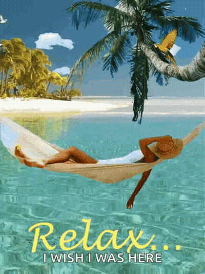 Woman Laying In Hammock Water Relax I Wish I Was Here GIF