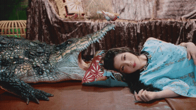 Woman Laying On Bed Next To Crocodile GIF