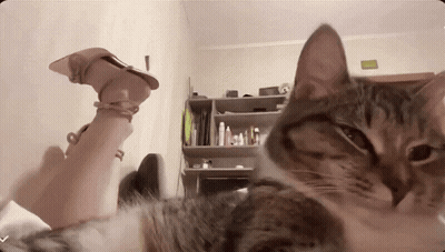 Woman Laying On Bed With Cat And Exit Sign GIF
