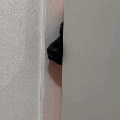 Woman Laying On Bed With Pillow And Blanket On Face GIF