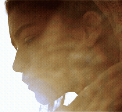 Woman Lifting Barbell We Are Working Out Today GIF