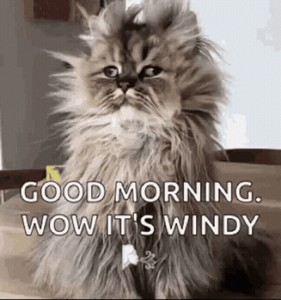 Woman Looking At Wind GIF