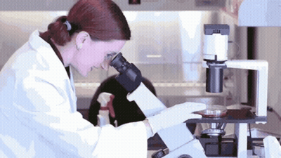 Woman Looking Through Microscope In Lab GIF