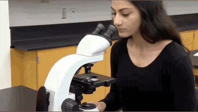 Woman Looking Through Microscope In Lab GIF