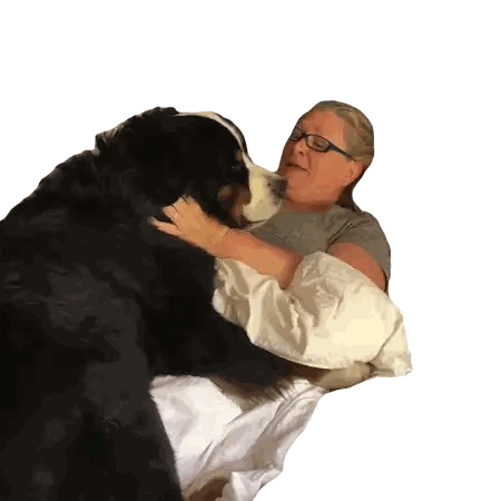 Woman Lying On Bed With Dog Sticker