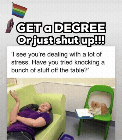 Woman Lying On Couch Get A Degree Or Shut Up GIF