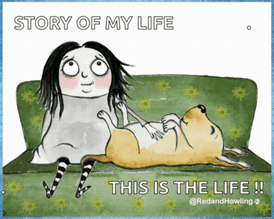 Woman Lying On Couch Next To Dog Story Of My Life GIF