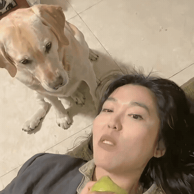 Woman Lying On Floor Dog Looking GIF