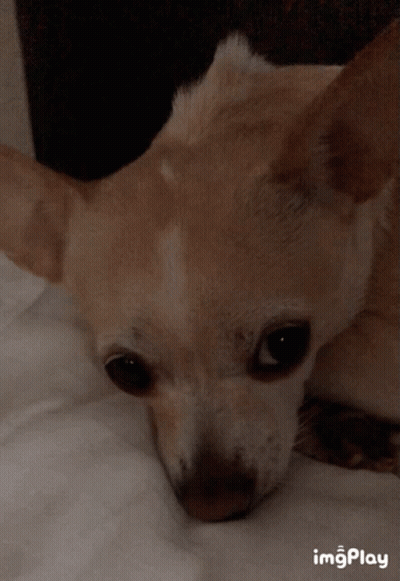 Woman Making Funny Face Close Up GIF