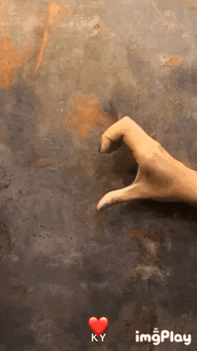 Woman Making Heart Shape With Fingers GIF