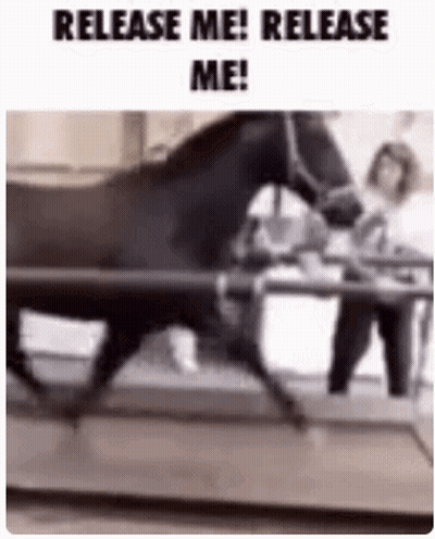 Woman Next To Horse Saying Release Me! Release Me! GIF