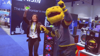 Woman Next To Mascot In Golden Knights Jersey GIF