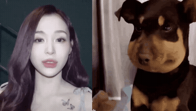 Woman Next To Realistic Stuffed Dog GIF