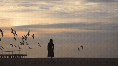 Woman On Beach With Birds Flying GIF