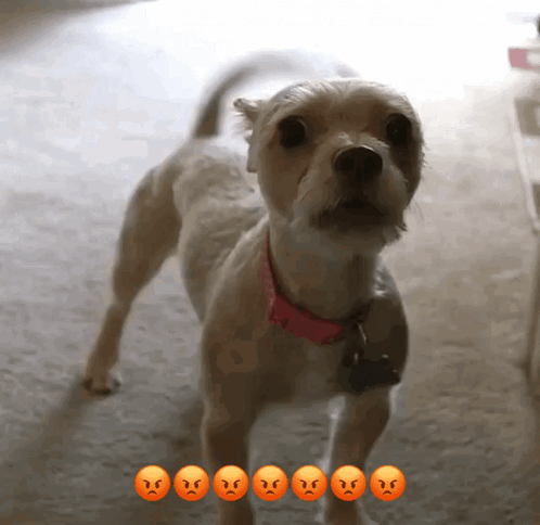 Woman On Coffee Cup Good Morning Bestie GIF
