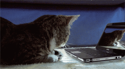 Woman on Couch Using Laptop SEO