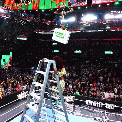 Woman On Ladder With Money Bank Sign GIF