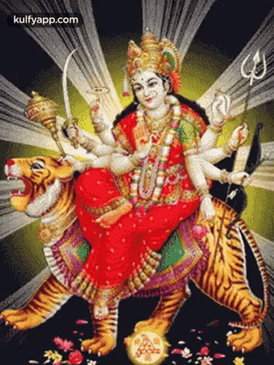 Woman On Tiger With Kulfyapp.com GIF