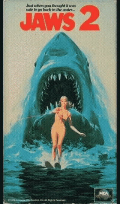 Woman On Wakeboard Attacked By Shark GIF