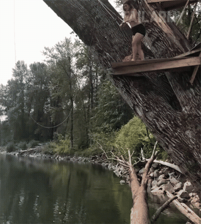 Woman On Wooden Platform In Tree Overlooking Water With Failard GIF