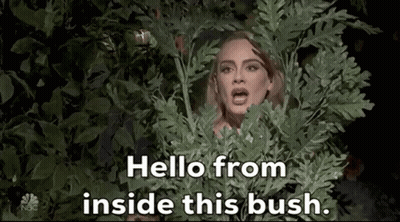 Woman Peeking Out Of Bush Saying Hello GIF