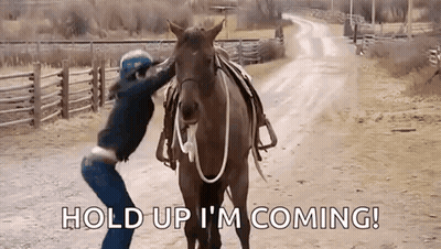 Woman Petting Horse On Dirt Road GIF