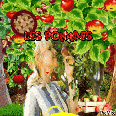 Woman Picking Apples Les Pommes GIF
