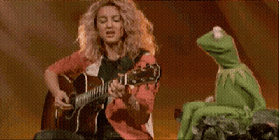Woman Playing Guitar Next To Kermit The Frog On Rock GIF