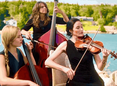 Woman Playing Violin With Double Bass And Cello GIF