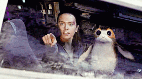 Woman Pointing At Stuffed Animal GIF