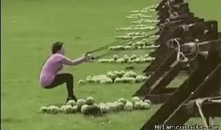 Woman Pulled By Rope In Field Of Golf Balls GIF