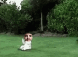 Woman Punt Baby GIF