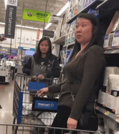 Woman Pushing Shopping Cart In Walmart Aisle GIF