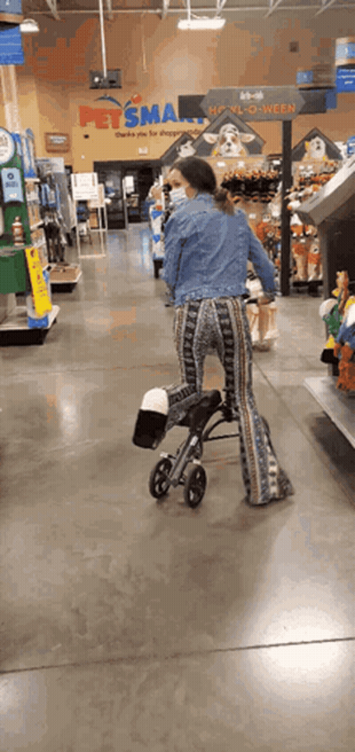 Woman Pushing Shopping Cart GIF