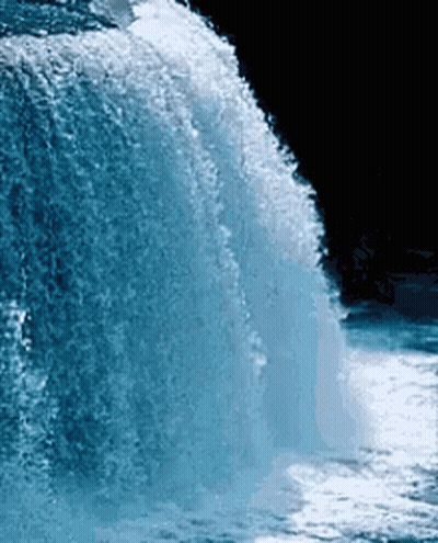 Woman Put My Thang Down Flip It Reverse GIF