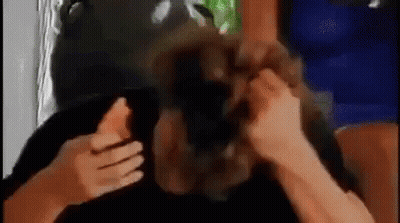 Woman Raising Hand At Table With Man And Two Others GIF