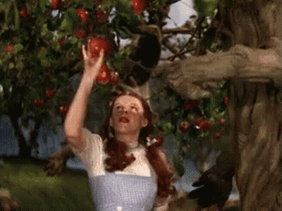 Woman Reaching For Apple From Tree GIF