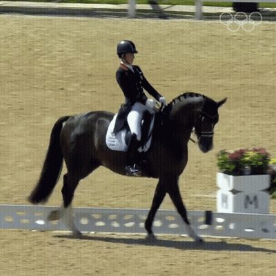 Woman Riding Black Horse Beside Box With Letter M GIF