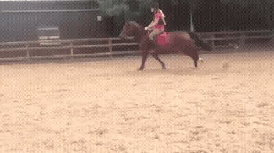 Woman Riding Brown Horse GIF
