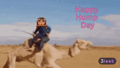 Woman Riding Camel Happy Hump Day GIF