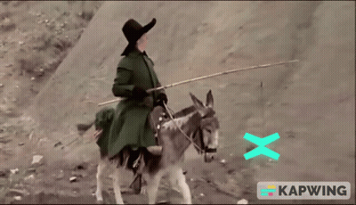Woman Riding Donkey With Fishing Rod GIF